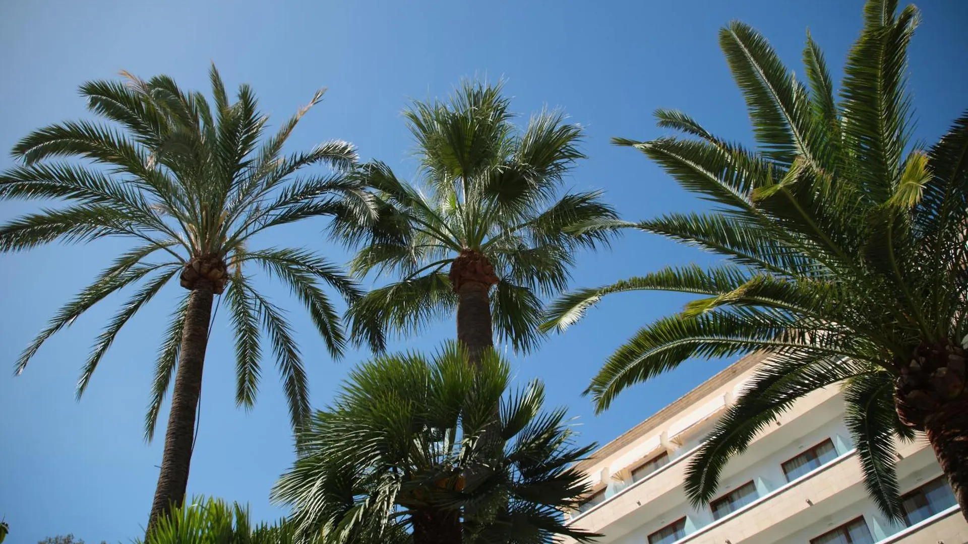 Hotel Son Caliu Spa Oasis Palma Nova  Palma Nova (Mallorca)